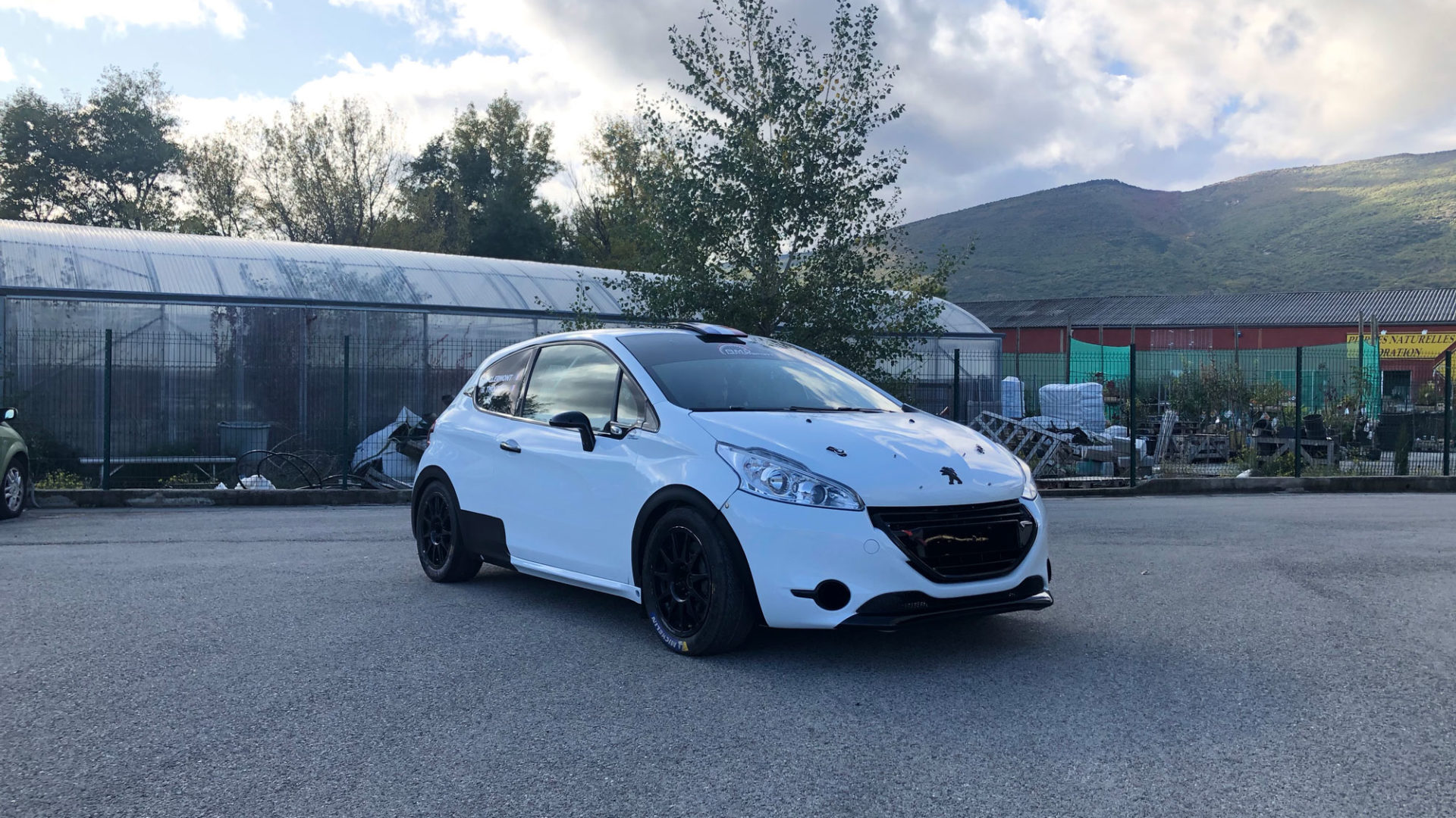 Peugeot 208 R2